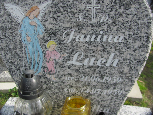 Janina Lach 1959 Żyraków - Grobonet - Wyszukiwarka osób pochowanych