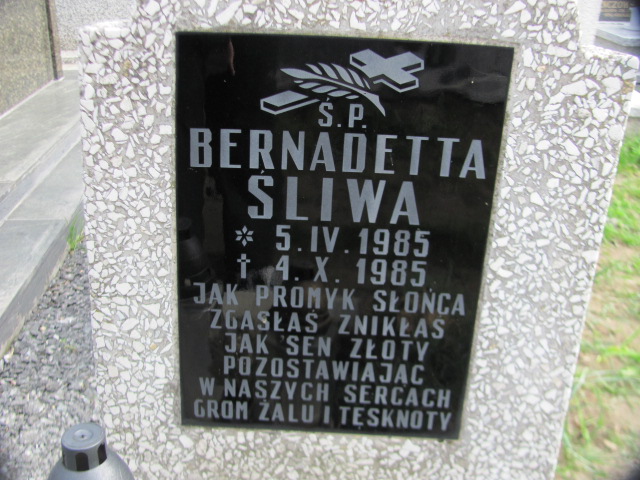Bernadeta Śliwa 1985 Żyraków - Grobonet - Wyszukiwarka osób pochowanych