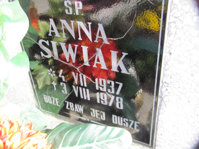 Piotr Siwiak 1967 Żyraków - Grobonet - Wyszukiwarka osób pochowanych